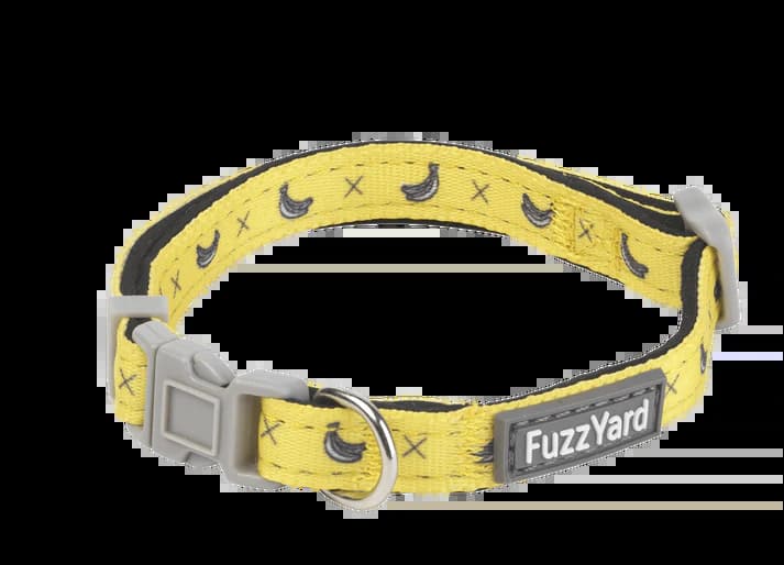 For Dogs
